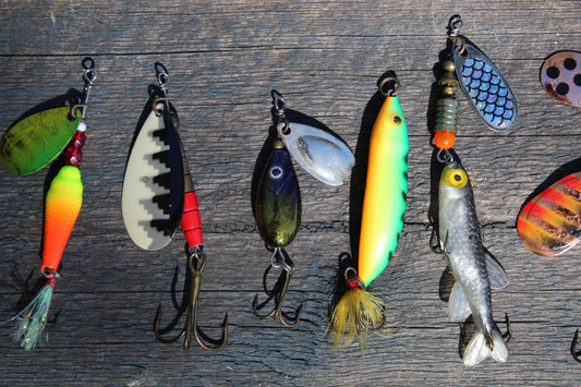 Everything You Need to Know About Fish Hooks